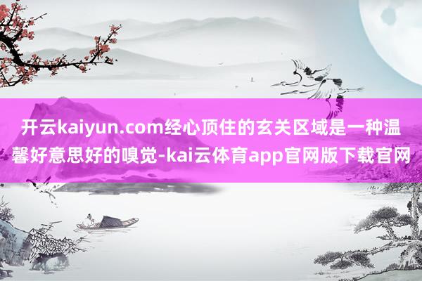 开云kaiyun.com经心顶住的玄关区域是一种温馨好意思好的嗅觉-kai云体育app官网版下载官网