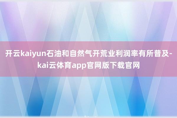 开云kaiyun石油和自然气开荒业利润率有所普及-kai云体育app官网版下载官网
