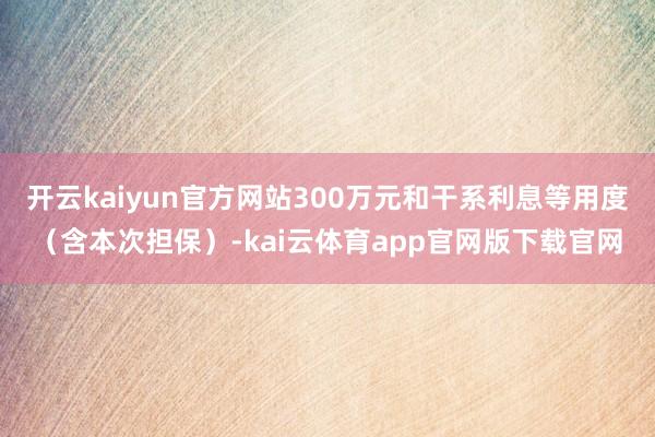 开云kaiyun官方网站300万元和干系利息等用度（含本次担保）-kai云体育app官网版下载官网